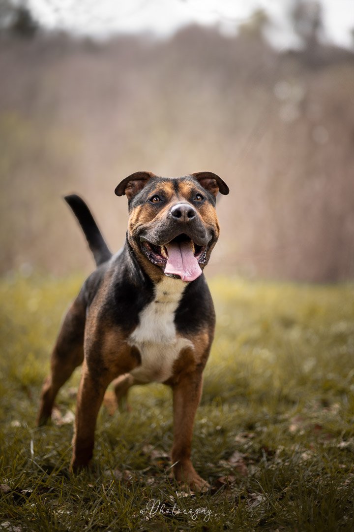 Cooper-3