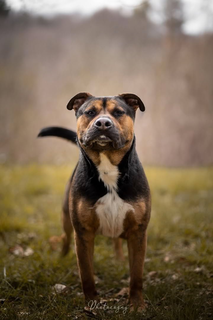 Cooper-4